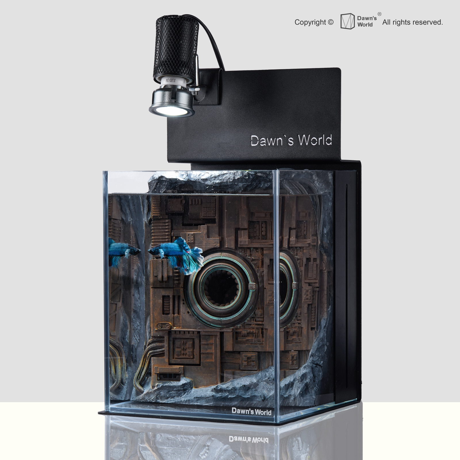 Angled view of Future Machinery Time Portal showing the machinery wall and circular aperture in depth, with a blue betta near the water surface.