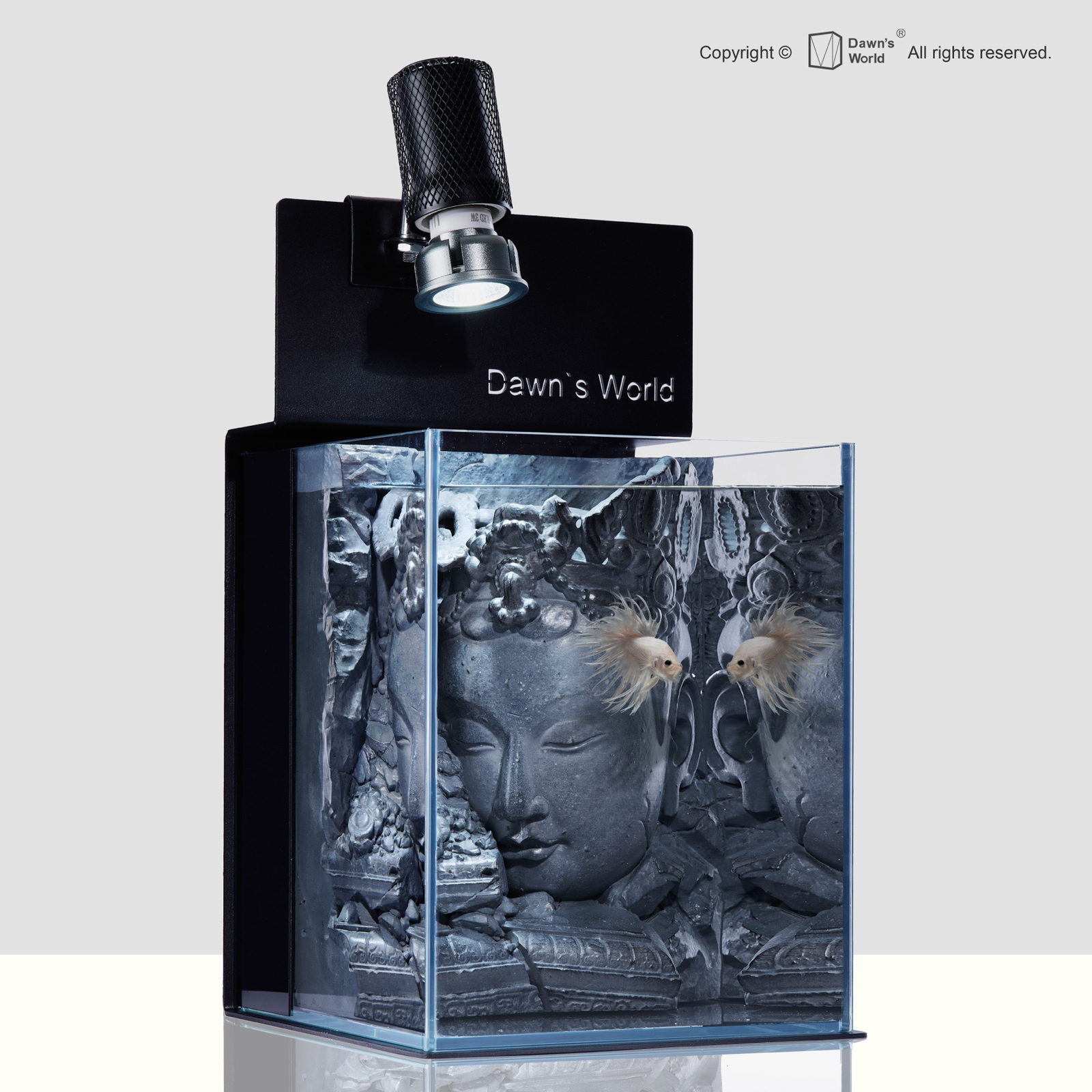 Angled view of Underwater Ruins Edition A showing the carved face reflected in the side glass, with two pale bettas near the surface.